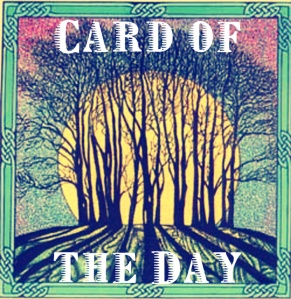 card of the day